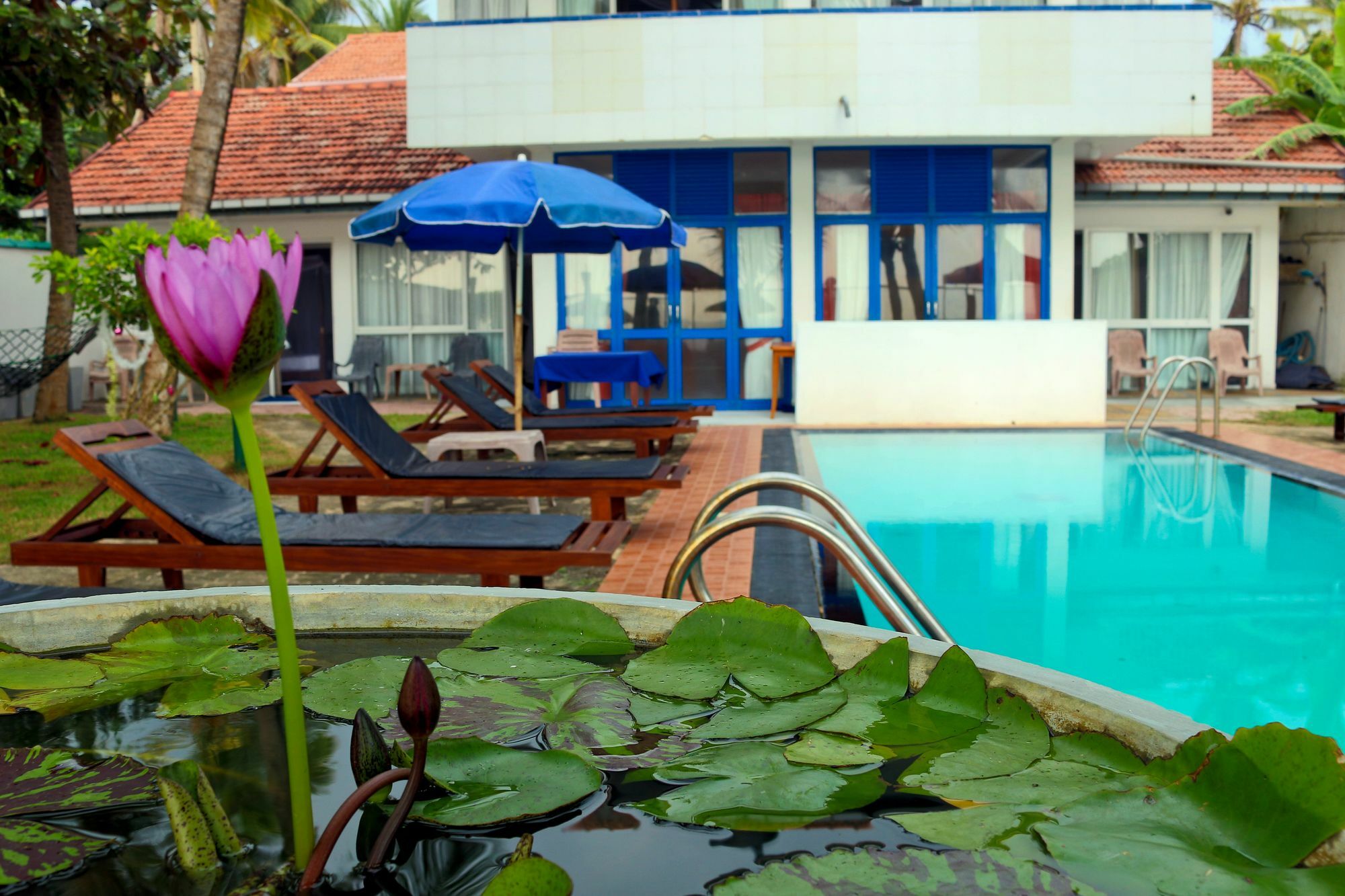 Edelweiss Resort Mirissa Buitenkant foto